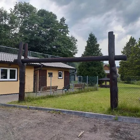 Camp Club * Busin
